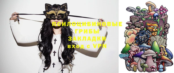 мяу мяу мука Армянск