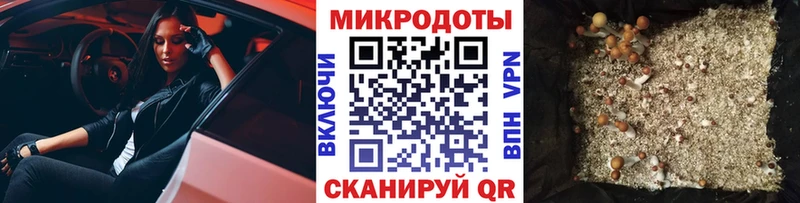 наркотики  Прохладный  Галлюциногенные грибы ЛСД 